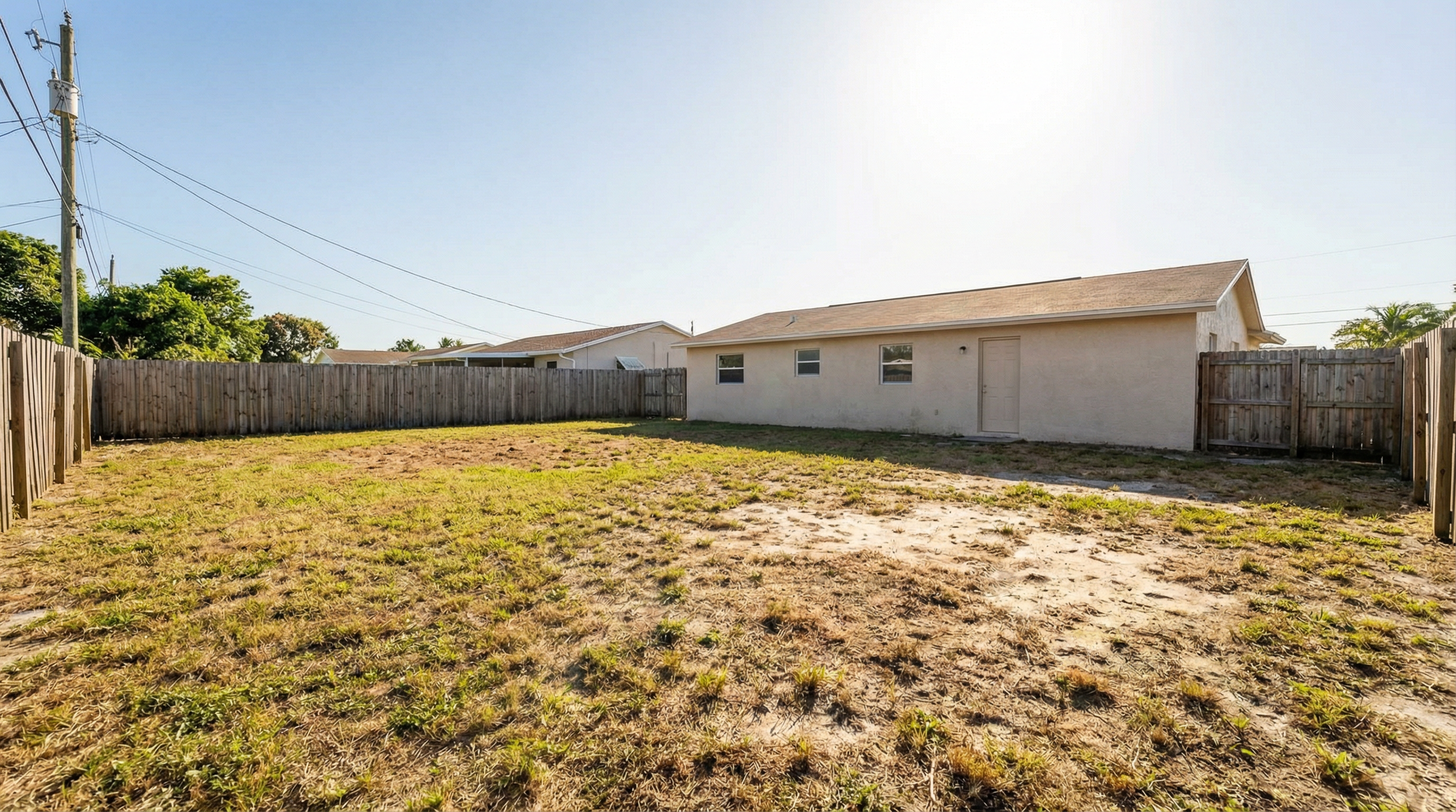 Before: Plain backyard